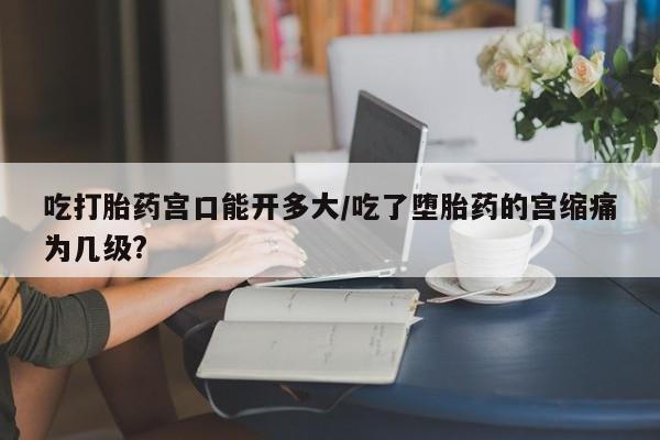 流产药在线购买微信吃打胎药宫口能开多大/吃了堕胎药的宫缩痛为几级?