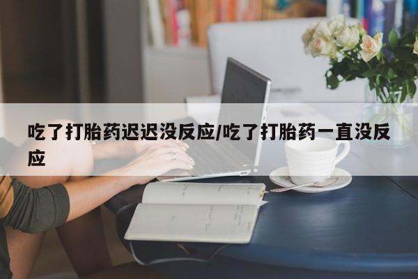 流产药在线购买微信吃了打胎药迟迟没反应/吃了打胎药一直没反应
