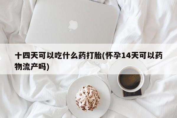 流产药在线购买微信十四天可以吃什么药打胎(怀孕14天可以药物流产吗)